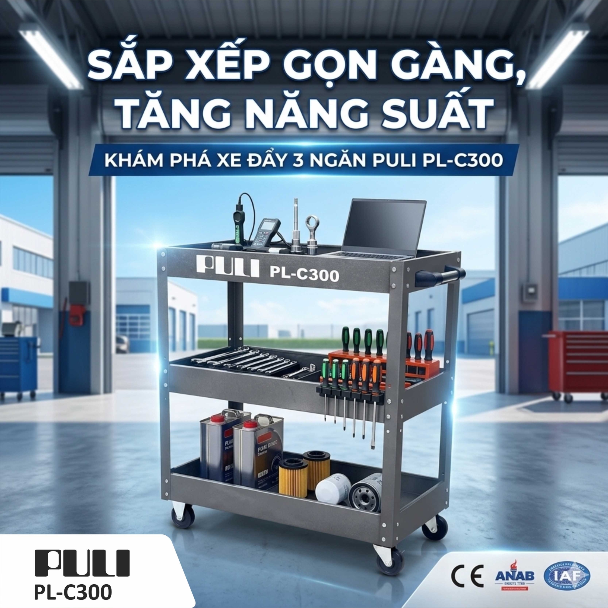 xe-day-dung-dung-cu-3-tang-puli-pl-c300