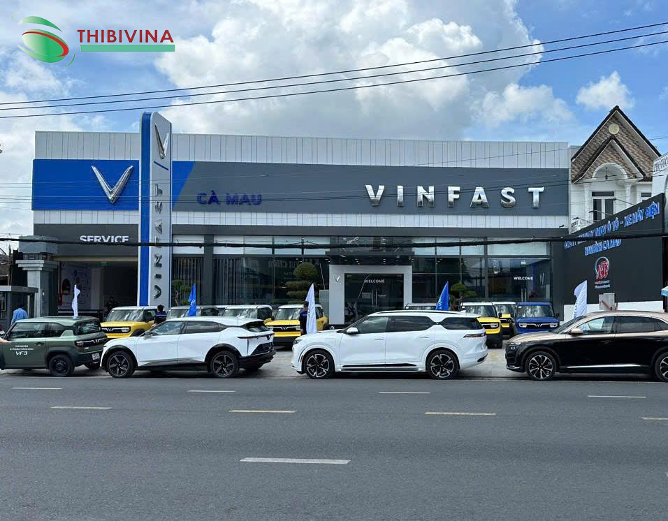 Mat tien xuong dich vu VinFast Ca Mau 1 do Thiet Bi Viet Nam thi cong lap dat thiet bi