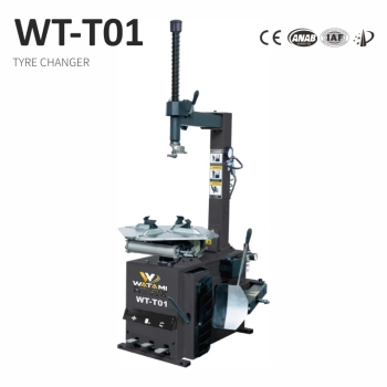 Máy Ra Vào Vỏ Lốp Ô Tô WATAMI WT-T01 (Màu Xám)